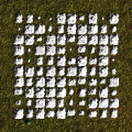 Thumbnail for version as of 09:14, 21 May 2021