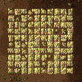Thumbnail for version as of 15:44, 3 June 2021