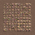 Thumbnail for version as of 18:19, 28 June 2021