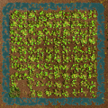 Thumbnail for version as of 13:23, 25 May 2021