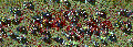 Thumbnail for version as of 00:09, 27 August 2021