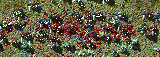 A bloody battle. (Click to see .gif animation.)