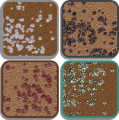Thumbnail for version as of 20:08, 3 August 2021