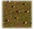 Thumbnail for version as of 20:45, 5 June 2021