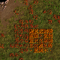 Thumbnail for version as of 15:05, 24 May 2021