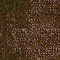 Thumbnail for version as of 02:35, 14 May 2021