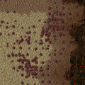 Thumbnail for version as of 13:58, 18 May 2021