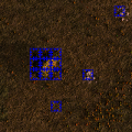 Thumbnail for version as of 04:24, 14 May 2021